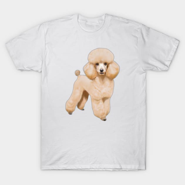 Cute Poodle Drawing T-Shirt by Play Zoo